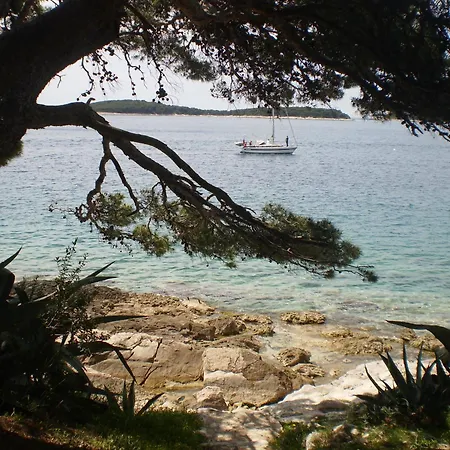 Buzolic Hvar Town