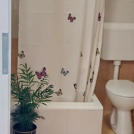 krevet i doručak Buzolic