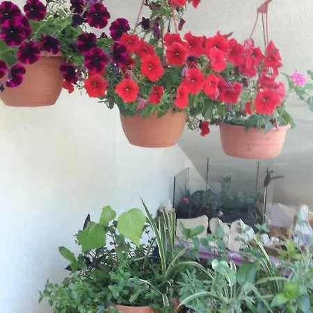 Buzolic Bed & Breakfast 3*