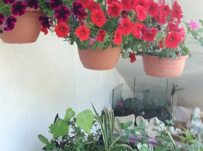 Buzolic Oda ve Kahvaltı 3*