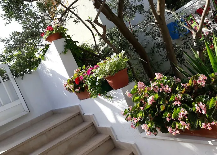 krevet i doručak Buzolic